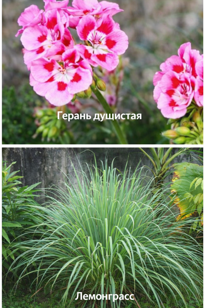 ChatGPT Image 26 мар. 2026 г., 11_32_25.png