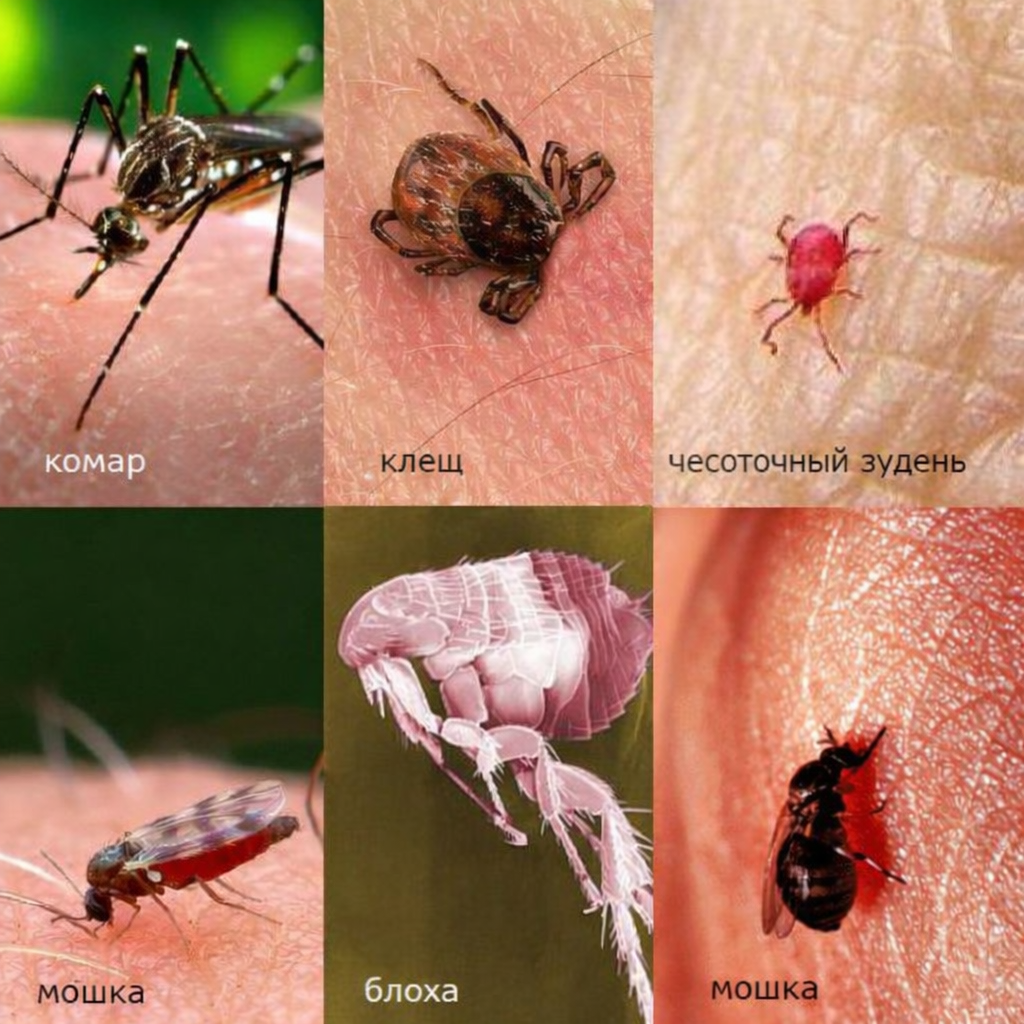 ChatGPT Image 26 мар. 2026 г., 11_28_05.png